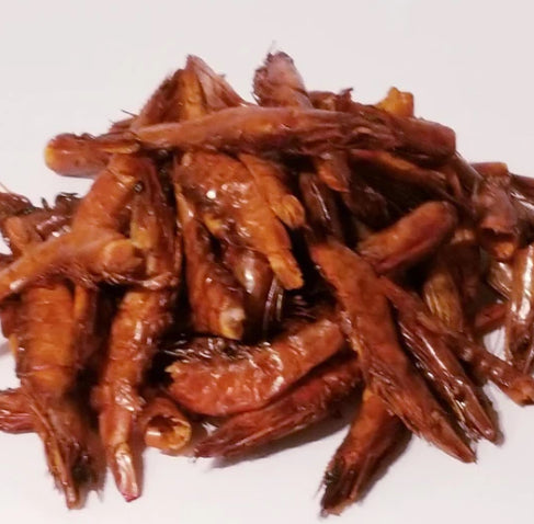 Smoke shrimp/oporo