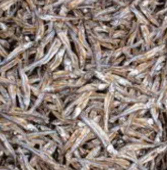 Dried anchovy/ ndakala